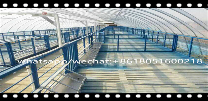 redpath nz